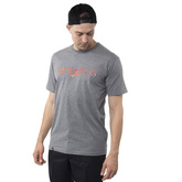 Koszulka NERVOUS Classic Acid (grey)