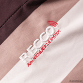 SESSIONS Firefly Stripes (brown)) snow jacket