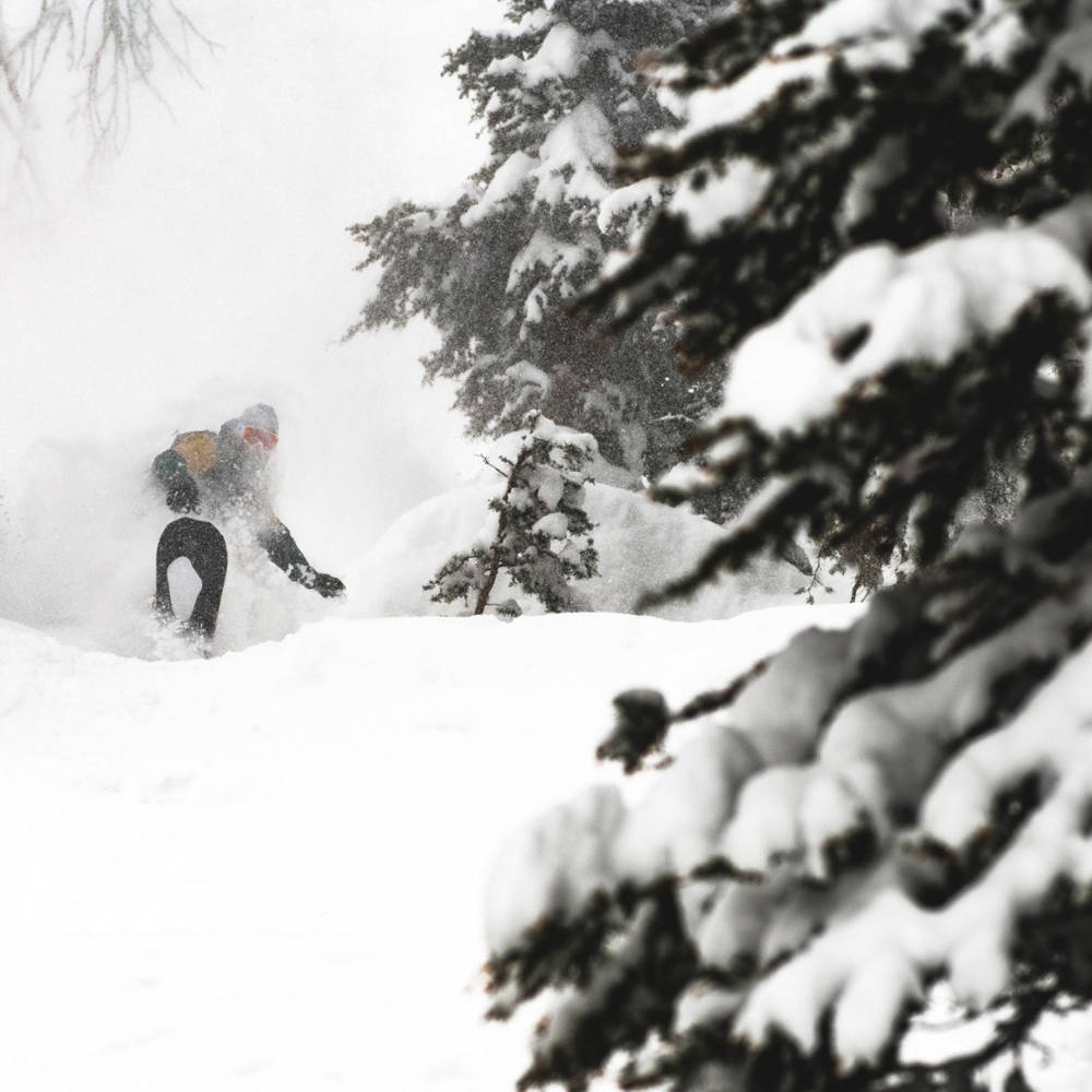 LIB TECH Orca 159 '22 snowboard