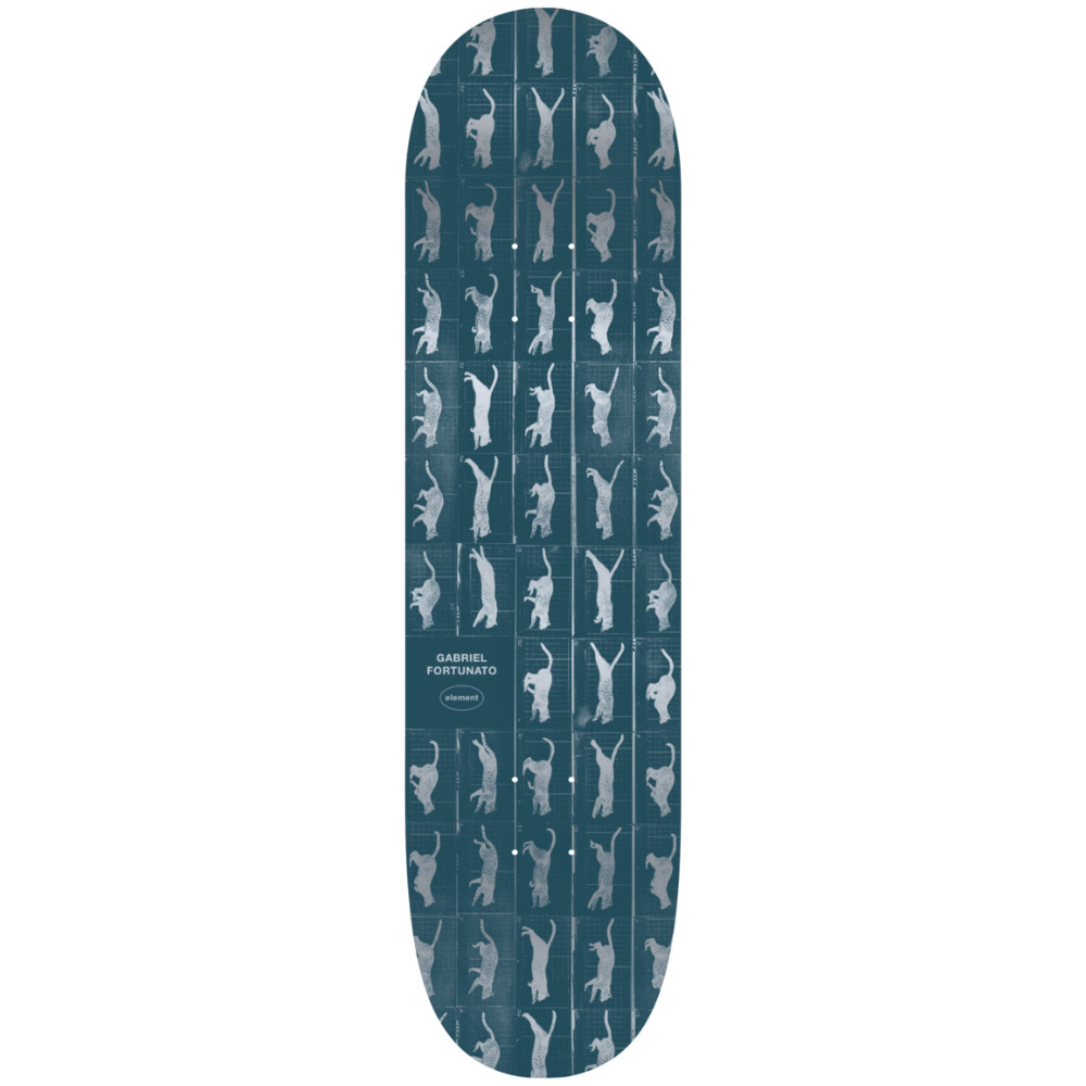 Deska ELEMENT Motion Gabriel Fortunato 8.25"