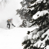 LIB TECH Orca 156 '22 snowboard