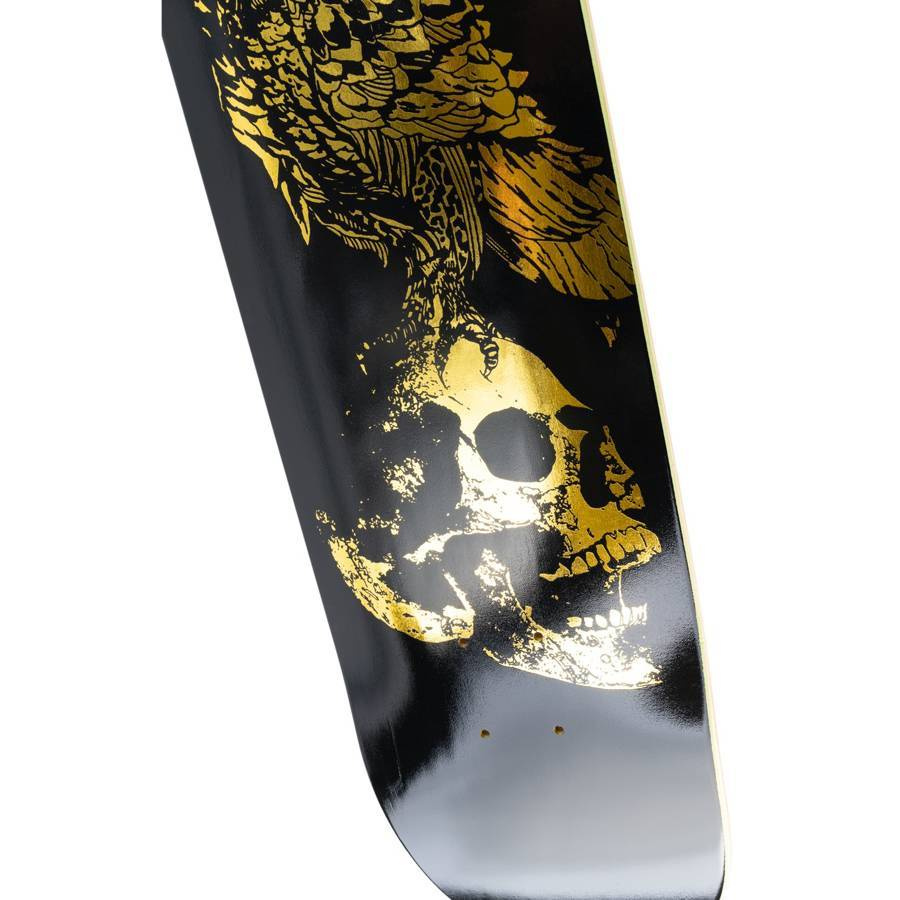 WELCOME SKATEBOARDS BIRD BRAIN 10.0” WELCOME SKATEBOARDS BIRD BRAIN 10.0” WELCOME SKATEBOARDS