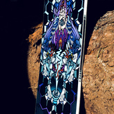 LIB TECH Terrain Wrecker 161W snowboard