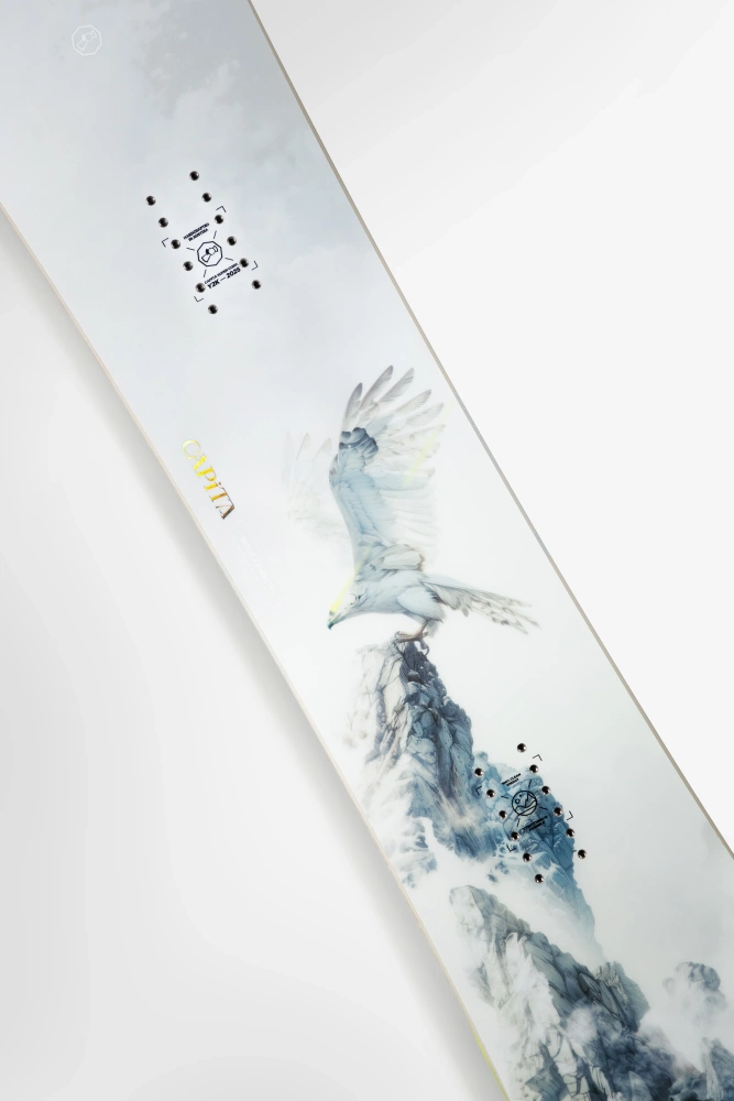 CAPITA Birds Of A Feather 138 2026 snowboard