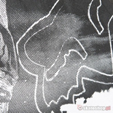 FOX W.F.O. white t-shirt