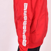 Bluza THRASHER Boxed Logo (red)