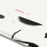 RIDE Twinpig 156W snowboard