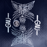 GNU Riders Choice 158W snowboard