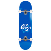 Deskorolka PUSH Bluey FP 7.75"